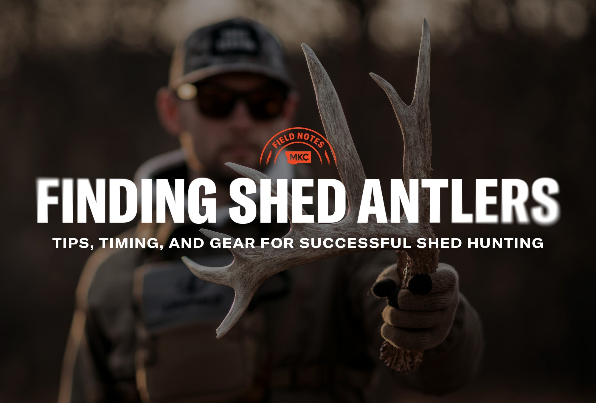 Hunter holding a shed antler in the field, illustrating tips for finding shed antlers during spring scouting.