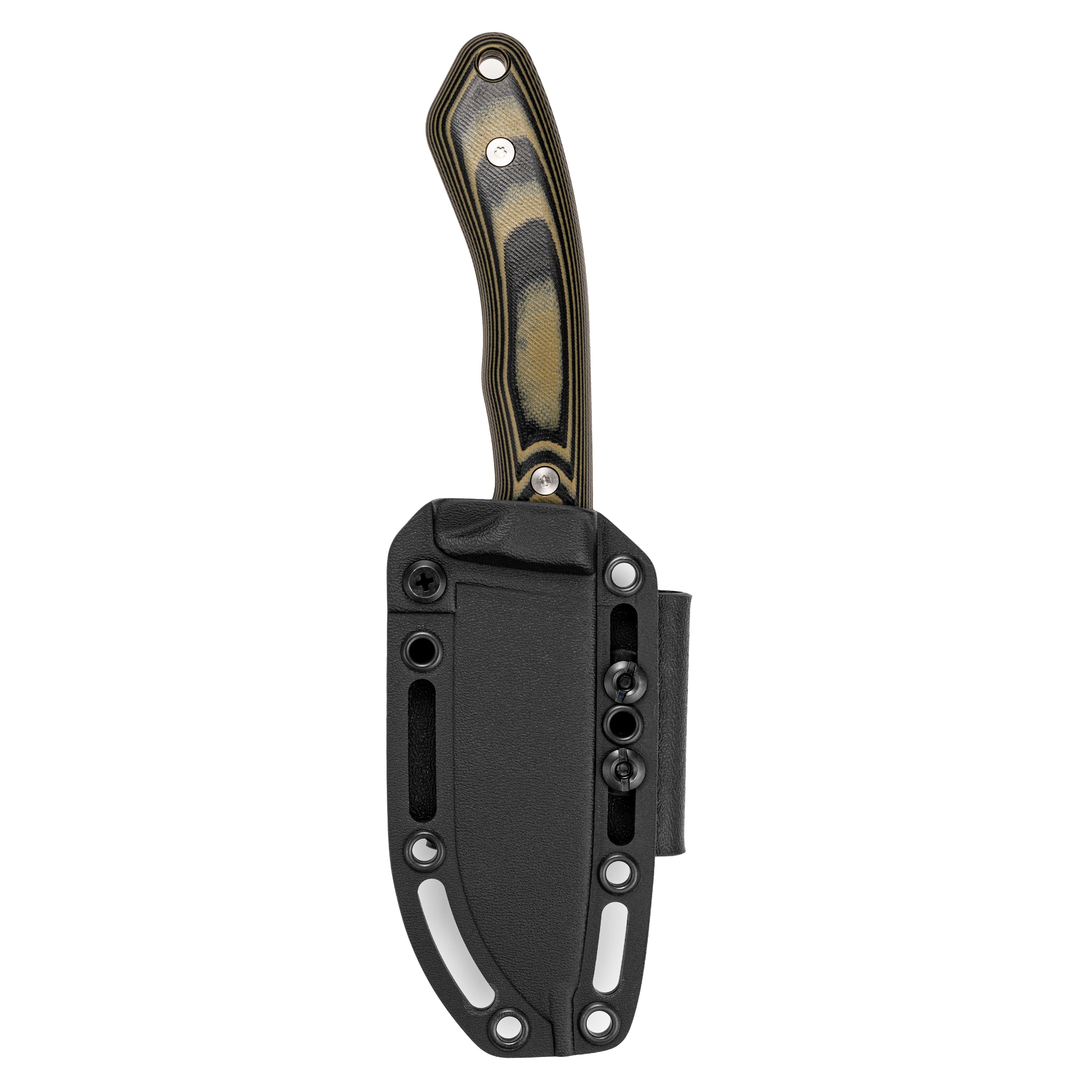 MULE DEER - GREEN & BLACK