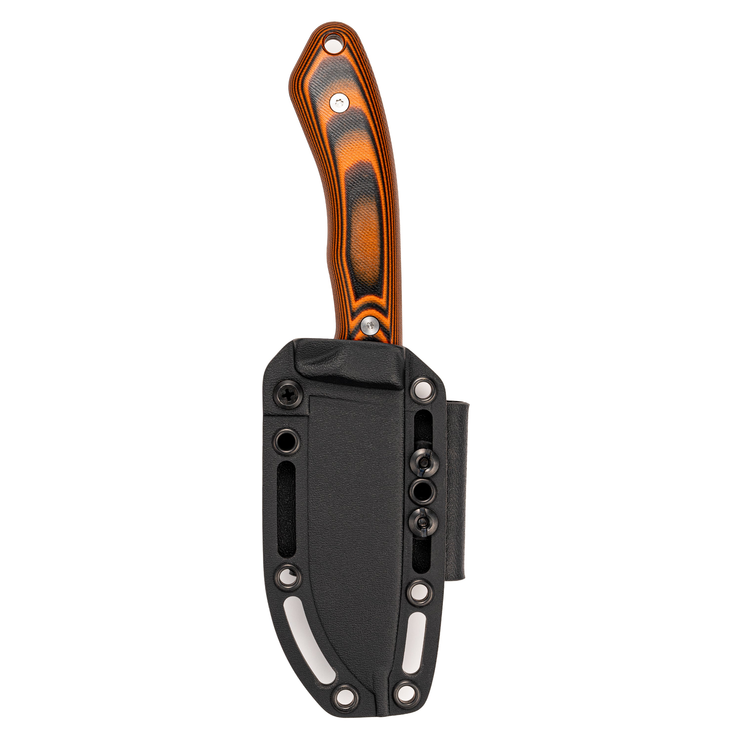 MULE DEER - ORANGE & BLACK