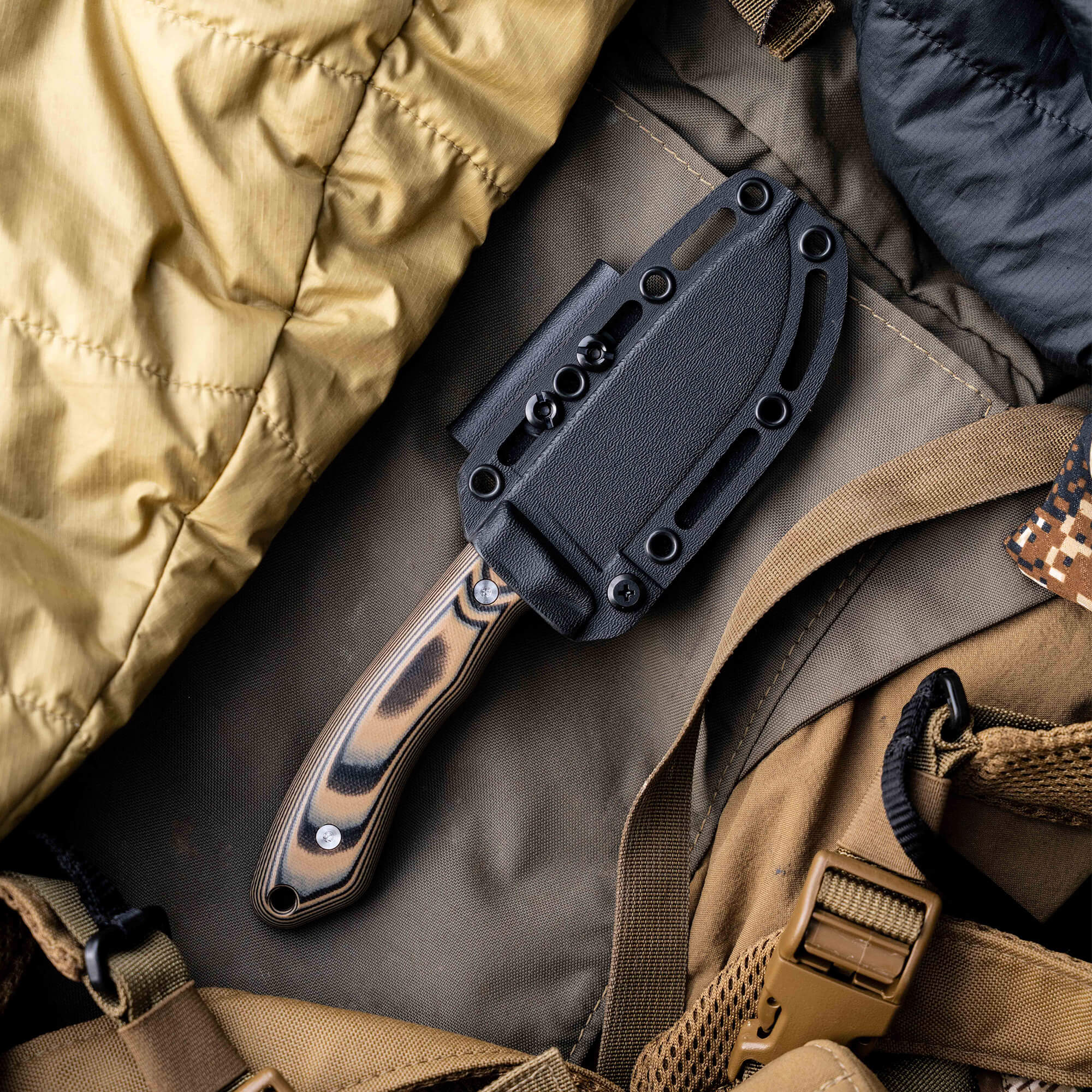 MULE DEER - TAN & BLACK