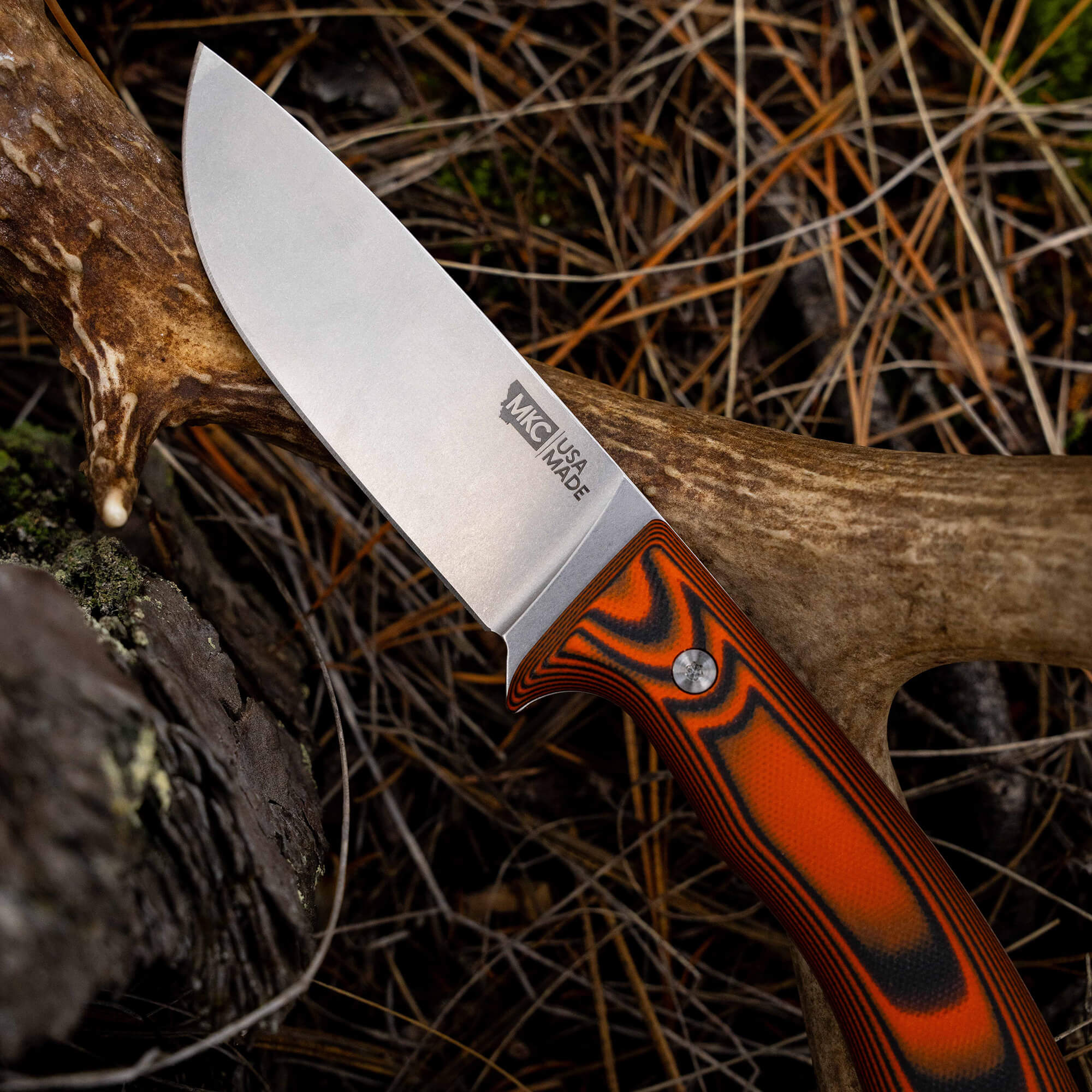 MULE DEER - ORANGE & BLACK