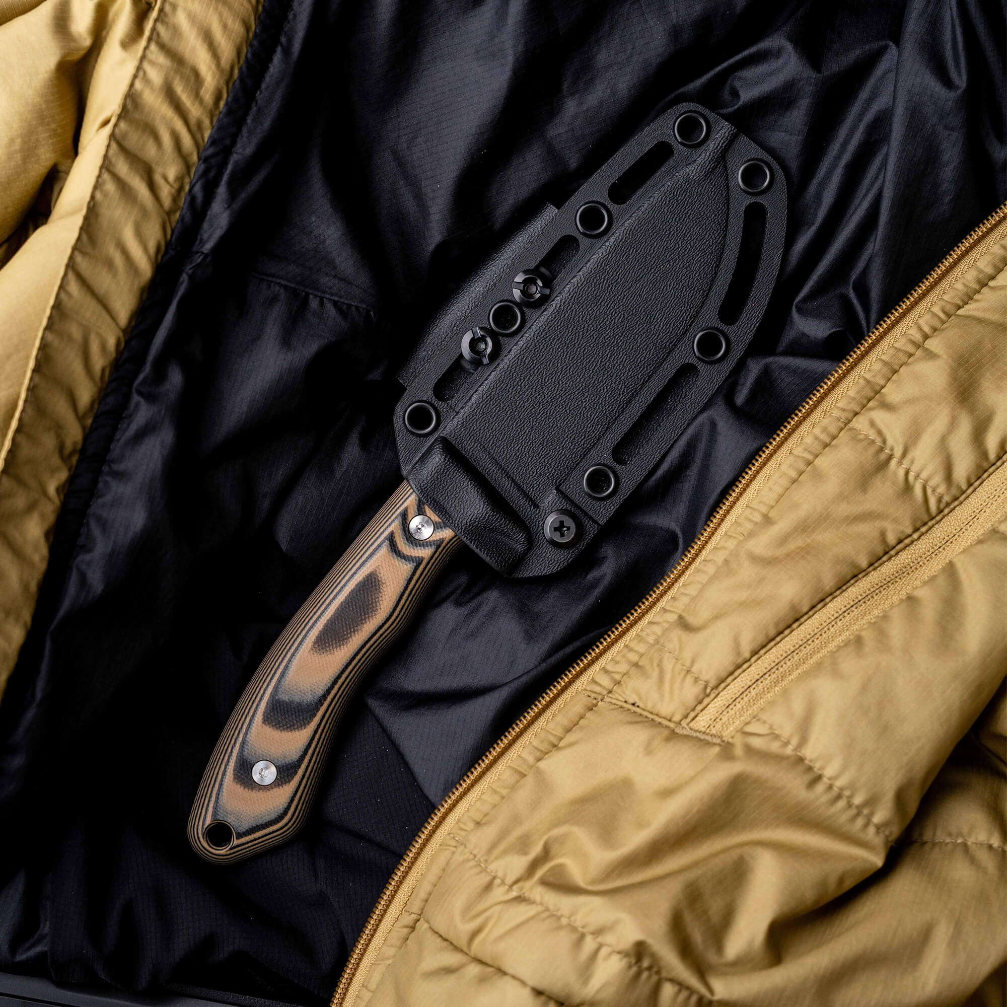 MULE DEER - TAN & BLACK