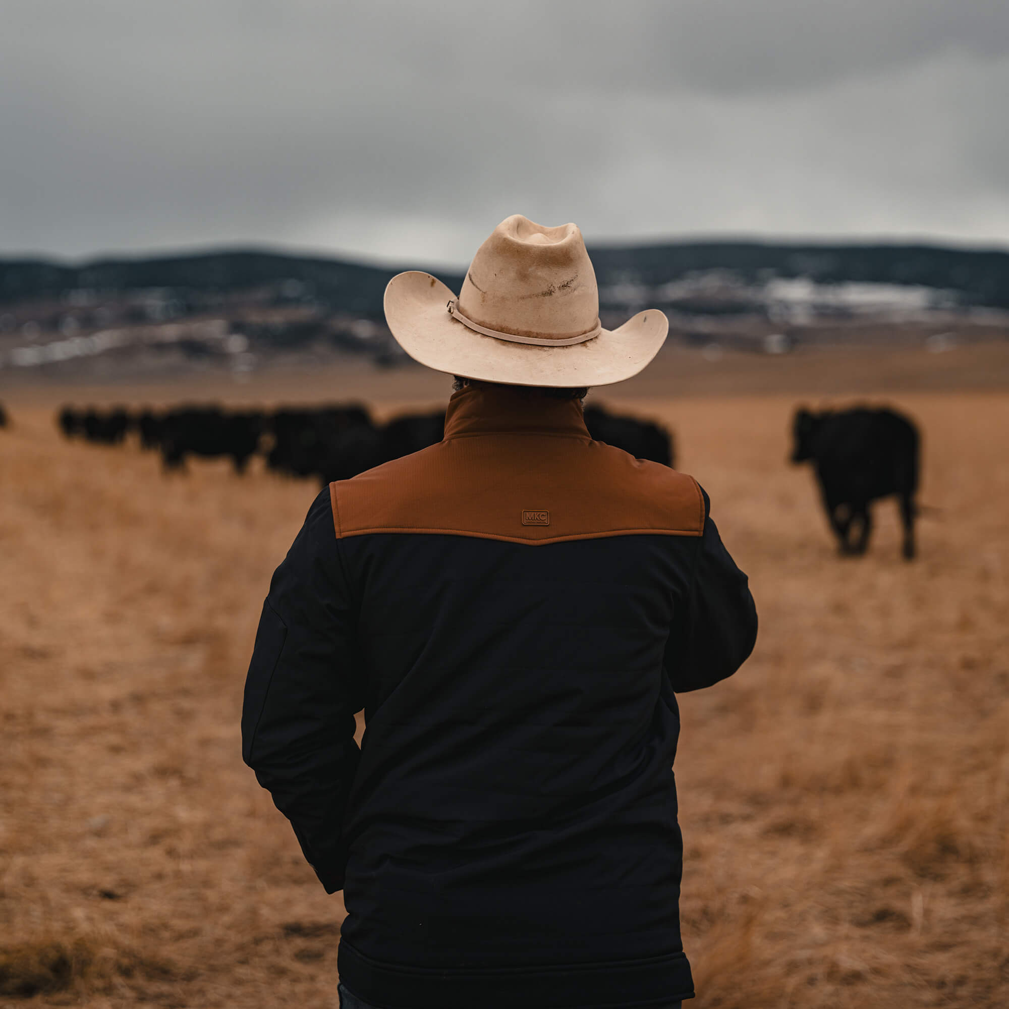 AUGUSTA JACKET - BLACK/COYOTE