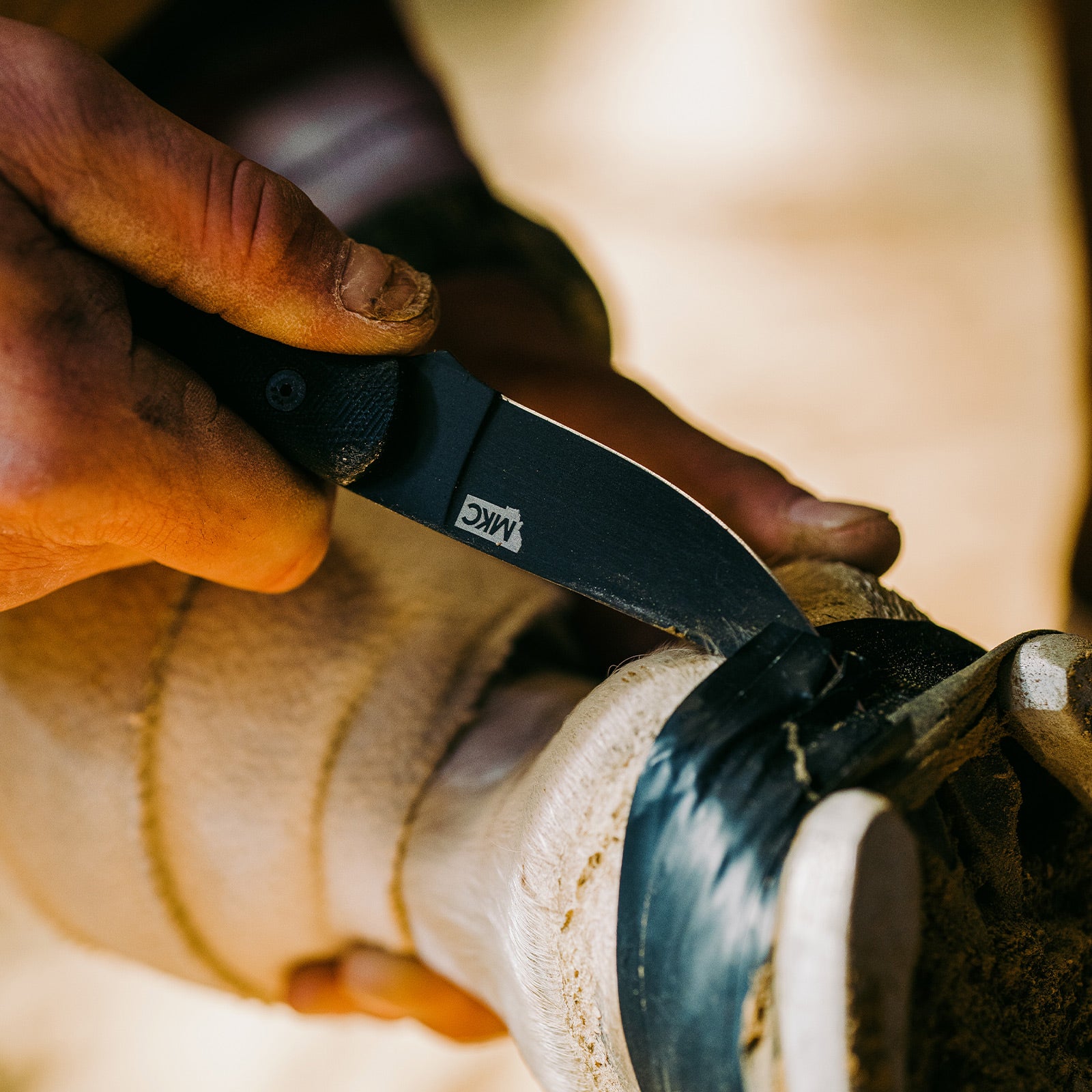 Close-up of a small BLACKFOOT 2.0 black knife being used to carve or cut outdoors with a gloved hand, focusing on the sharp blade and handle details.