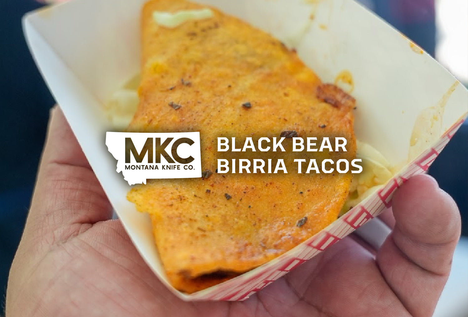 Close-up of a hand holding a crispy Black Bear Birria Taco in a paper tray.