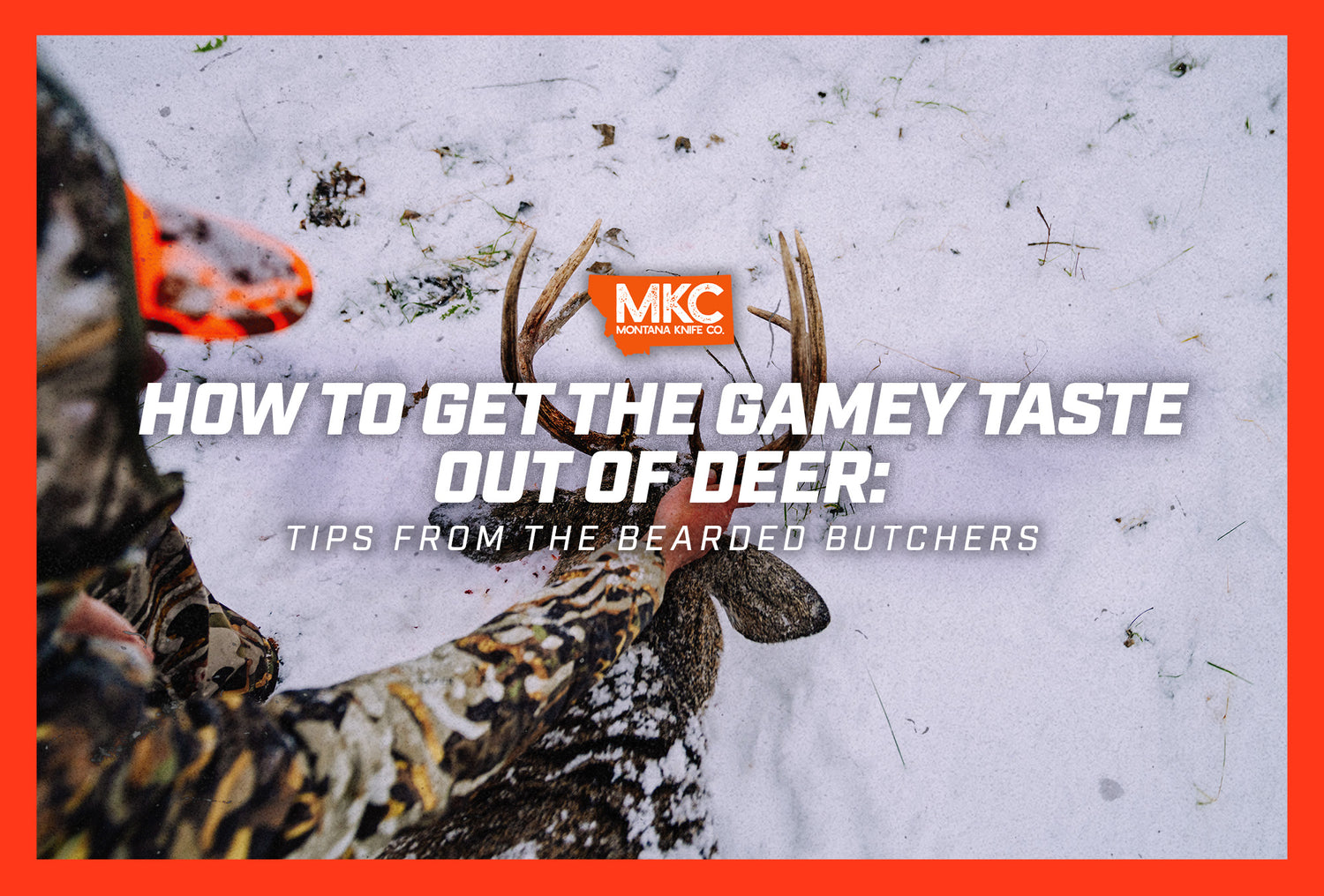 A hunter in camo carefully leans over a deer carcass in the snow, considering how to remove the gamey taste from venison.