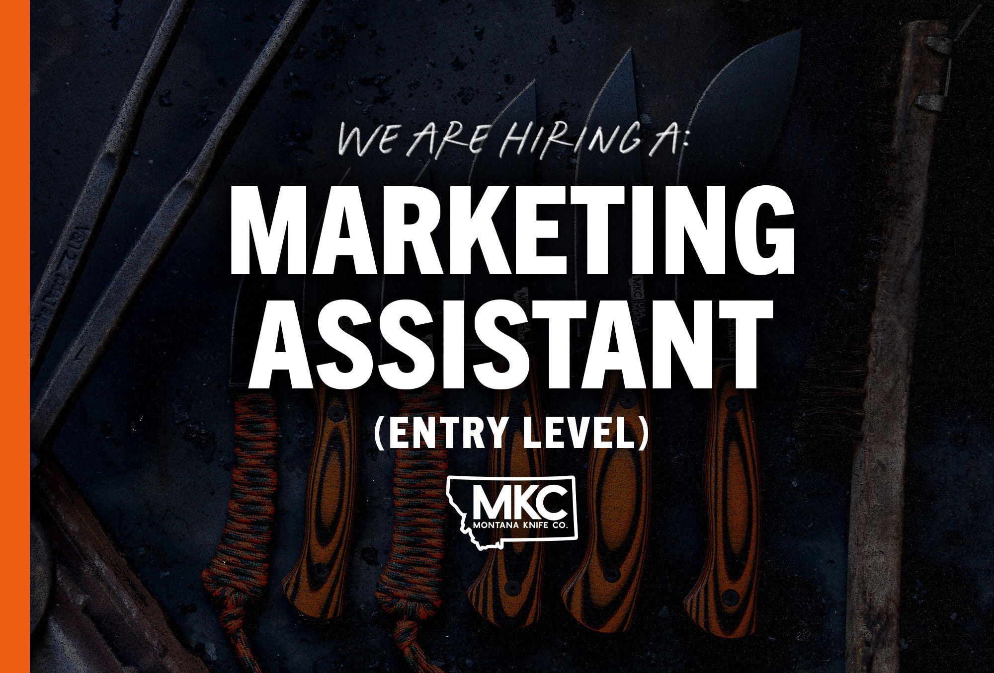 Marketing Assistant - Entry Level