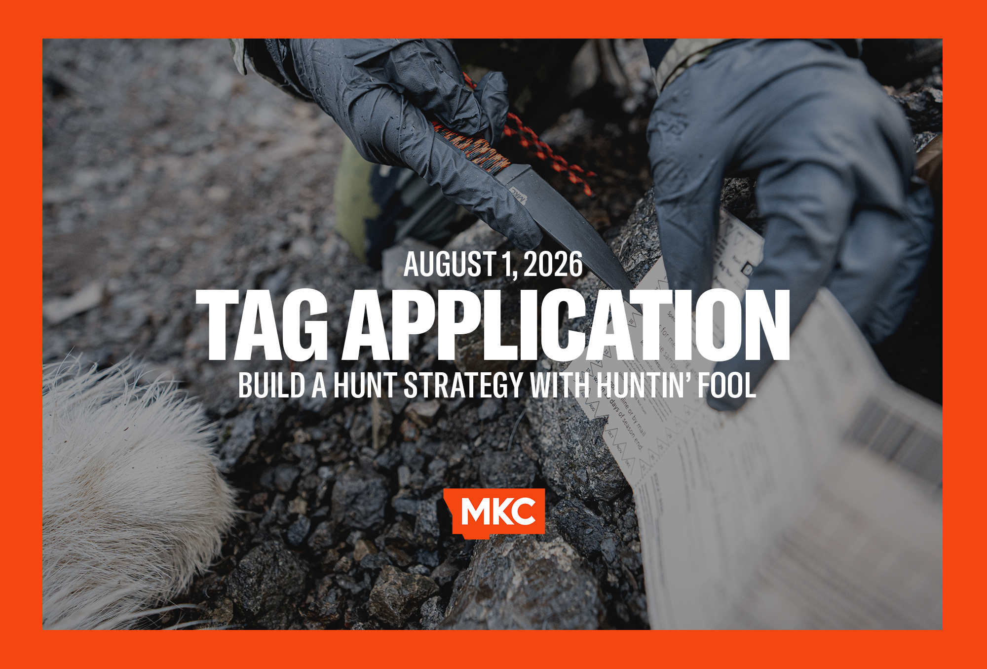 Tag Application Strategy Class with Huntin' Fool